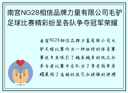南宫NG28相信品牌力量有限公司毛驴足球比赛精彩纷呈各队争夺冠军荣耀观众热情高涨